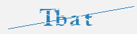 보안문자